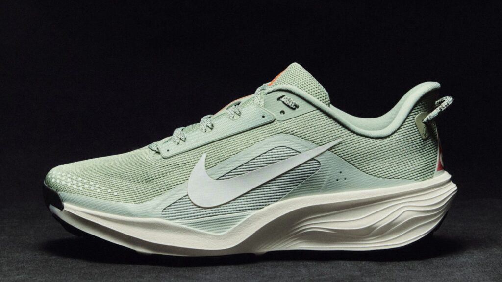 Nike Pegasus Trail ACG 2026